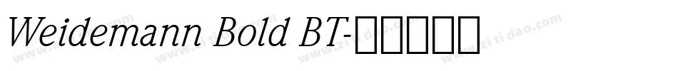 Weidemann Bold BT字体转换